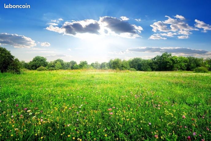 Terrain 600 m² Saint Branchs