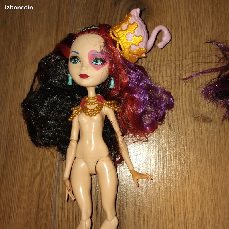 Lot de poupées ever after high (image 2)