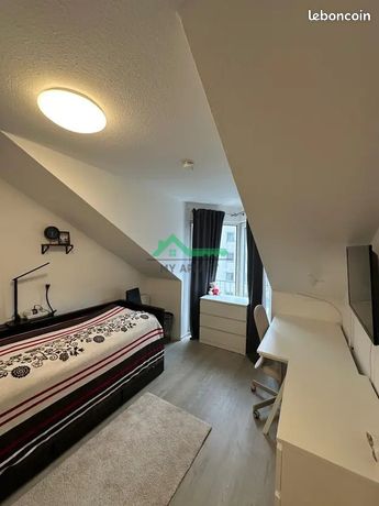 Studio 1 pièce 20 m²