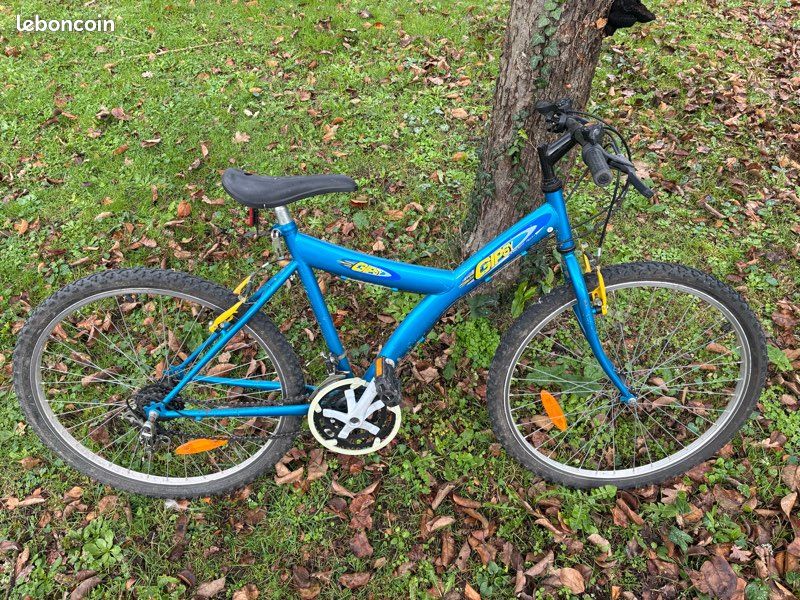 Vente VTT gipsy (image 1)