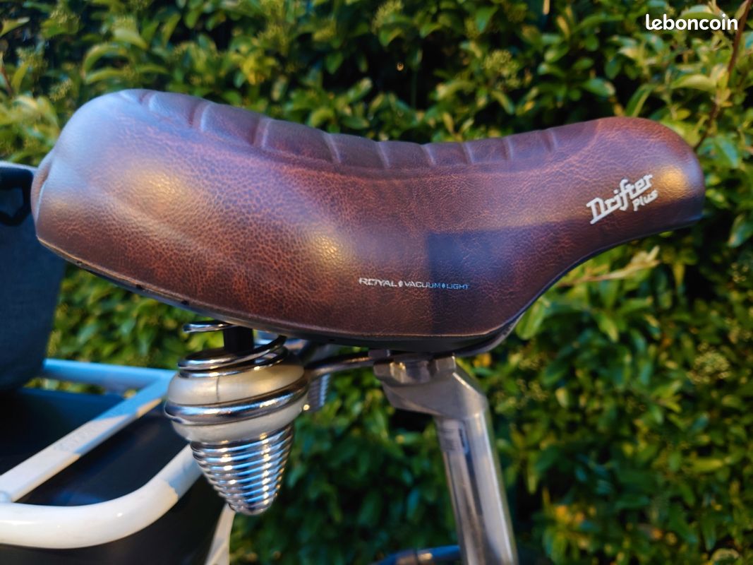 Selle Velo Arcade Paris ? Superbe Vélo De Ville Électrique Arcade E Cardan  26