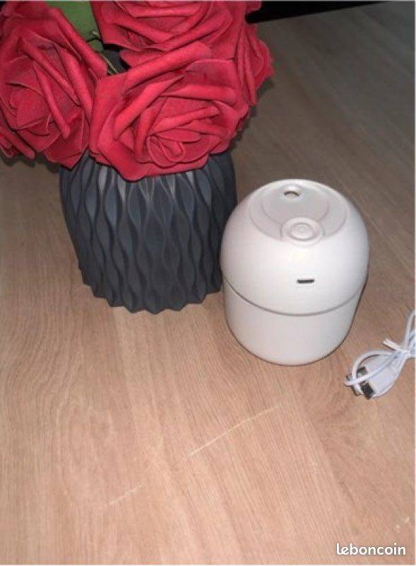 Humidificateur Silencieux Portable Pour Chambre Et Animaux - Diffuseur Brume Réglable Rechargeable 260ml Pour Chien, Bureau, Voyage