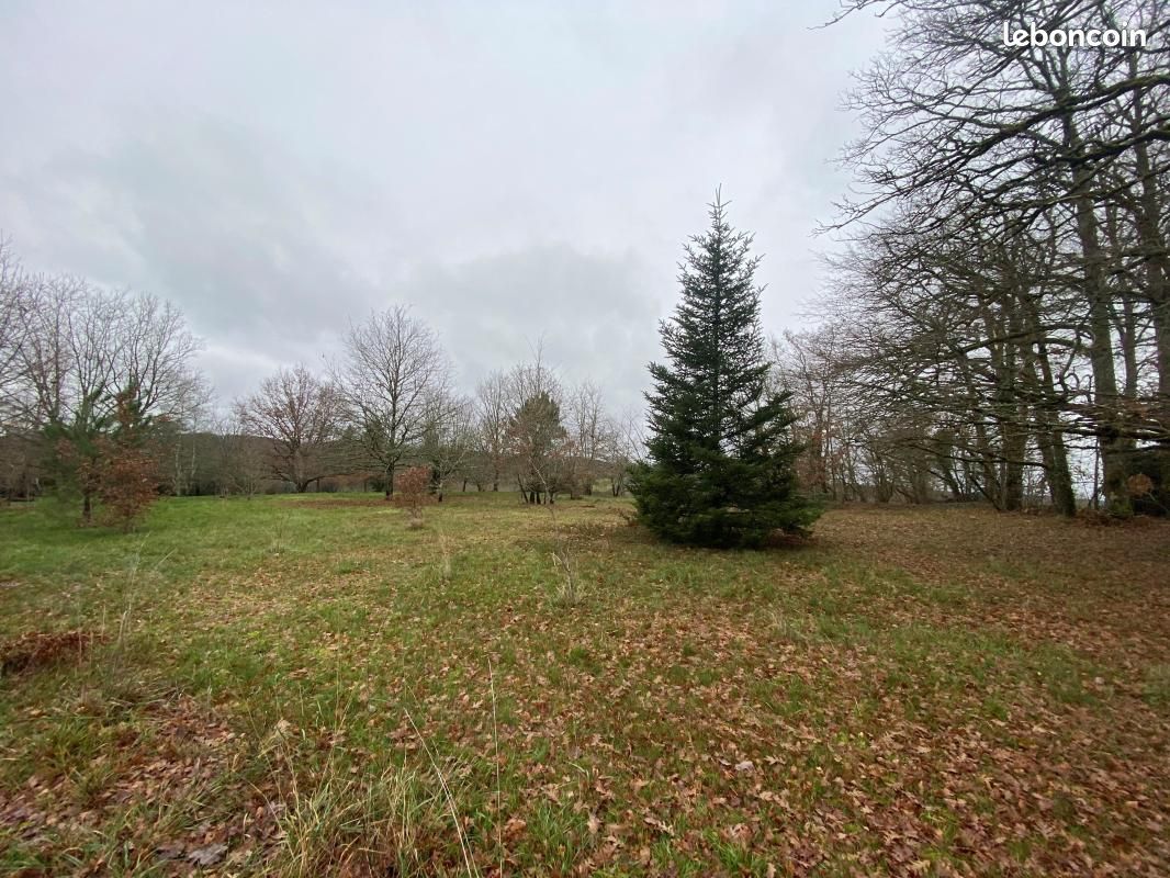 Terrain 1 584 m² Vergt · 35 000 €