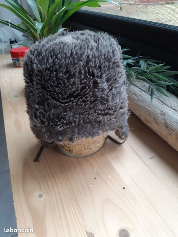 Bonnet Doublé polaire 18 mois (image 2)