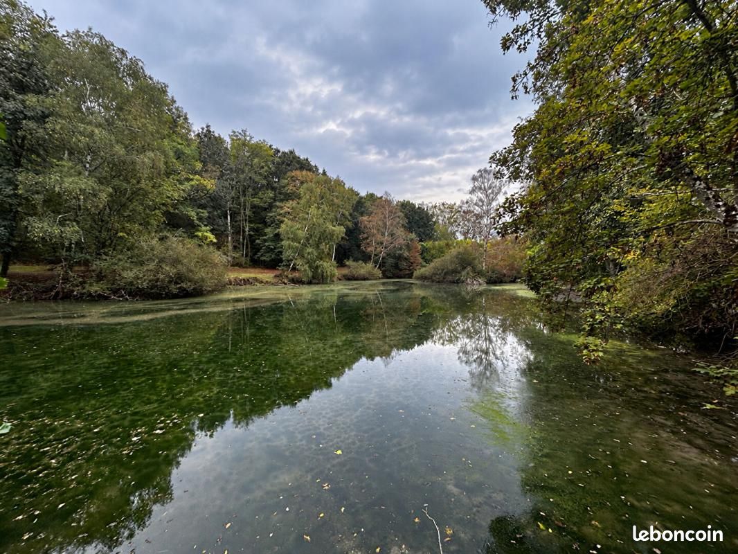 Terrain 9560 m² · à Reboursin · 29 900 €