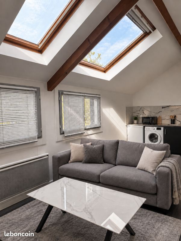 Appartement 1 pièce 46 m² · à Nogent-sur-Marne · 46 m² · 1 500 €/mois
