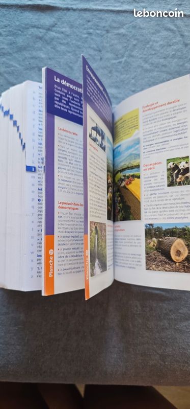 Dictionnaire larousse Junior (image 6)