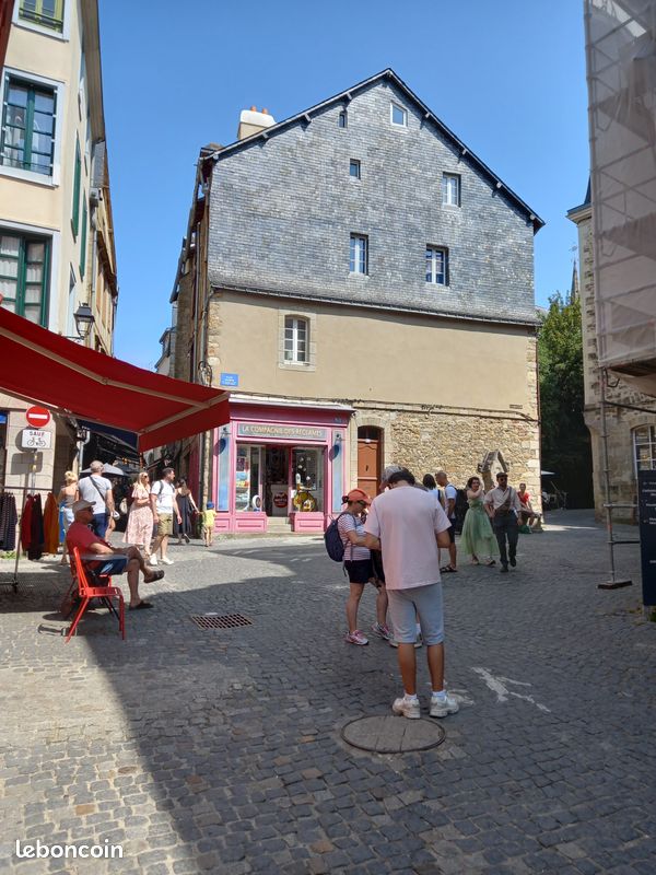 Appartement 1 pièce 18 m² · à Vannes · 18 m² · 540 €/mois