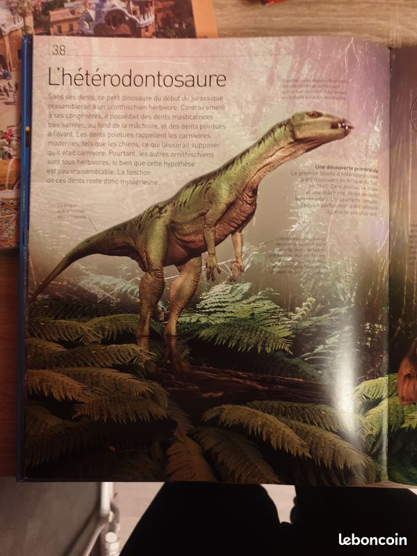 Géo jeunesse-Mystérieux dinosaures (image 3)