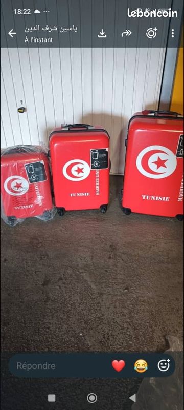 Valises 3 tailles (image 1)