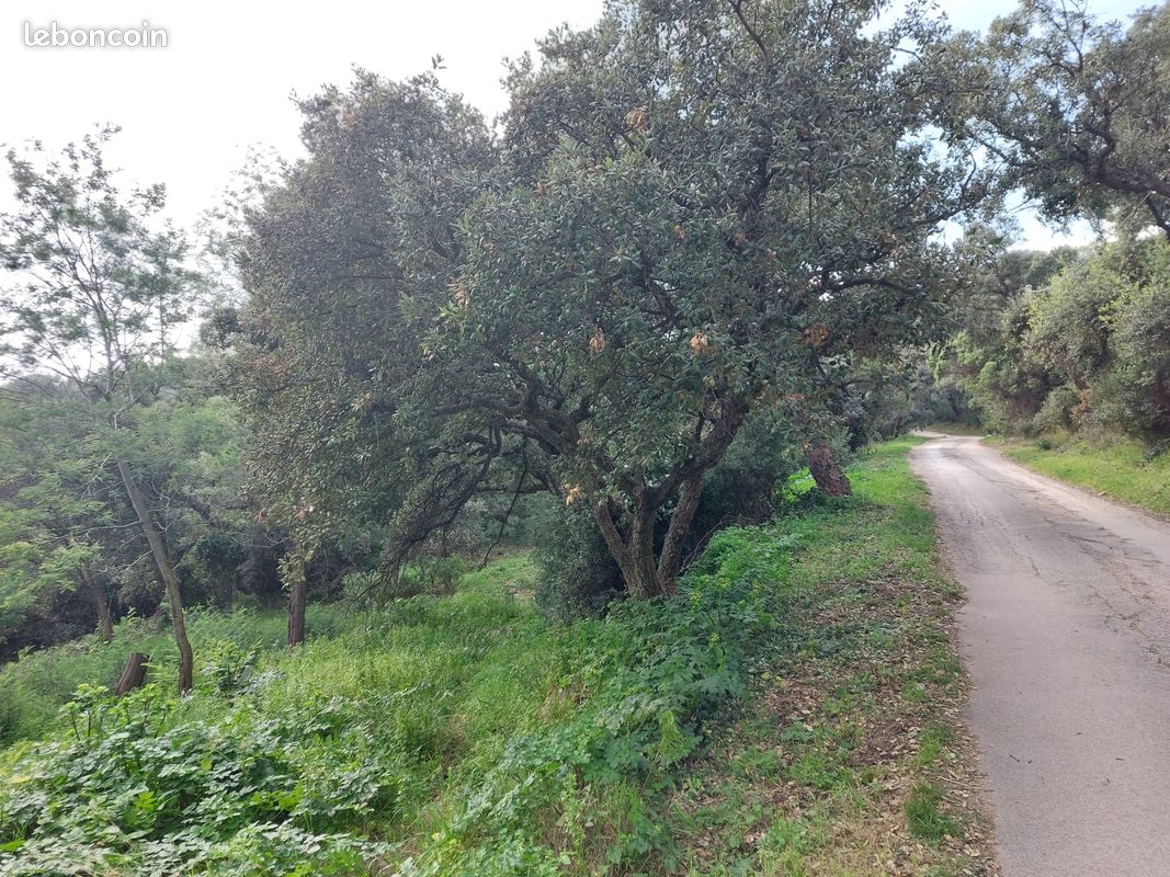 Vente terrain boisé · à Hyères · 80 000 €