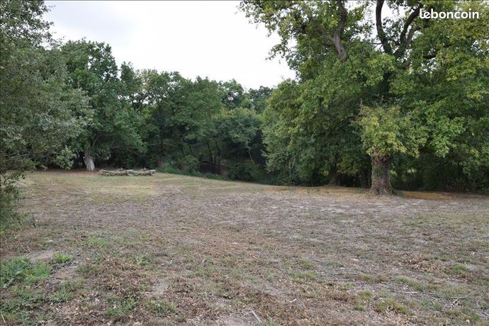Terrain 5 050 m² Projan