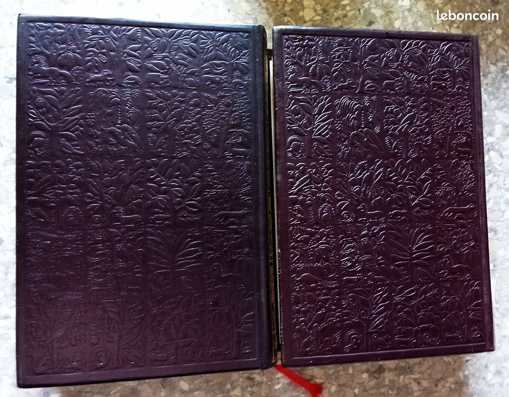 L'origine des espèces Charles Darwin Jean de Bonnot 2 Volumes complet (image 3)