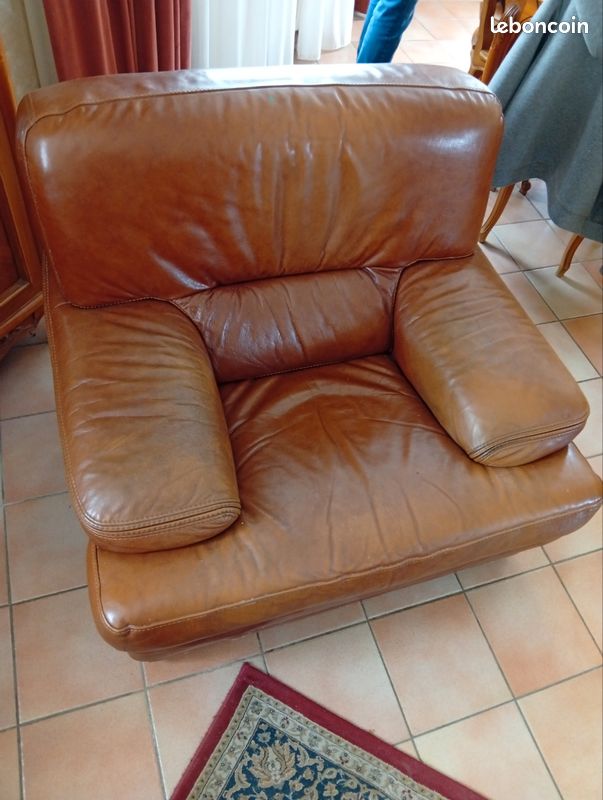 Fauteuils en cuir (image 2)