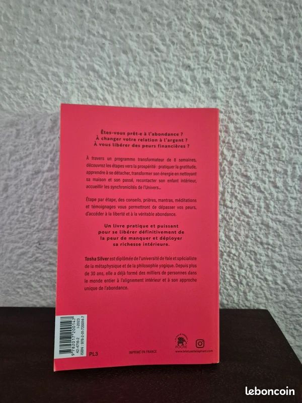Le secret de l'abondance Tosha Silver (image 2)