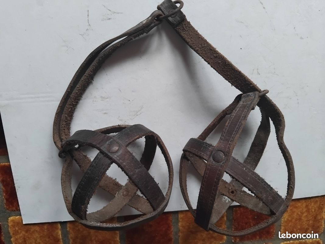 Jeu paire de boules Pétanque lyonnaise vintage rétro ancien jeu de longue avec filet lanière en cuir métal doré bronze ou laiton (image 6)