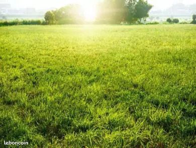 Terrain 560 m² Pontigne · à Baugé-en-Anjou · 19 500 €