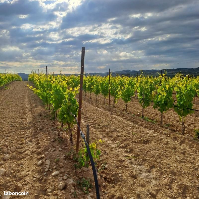 Terrain 250 m² Pertuis · 154 000 €