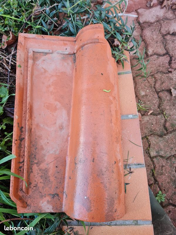 Recherche tuiles roumaziere gtr16 (image 4)