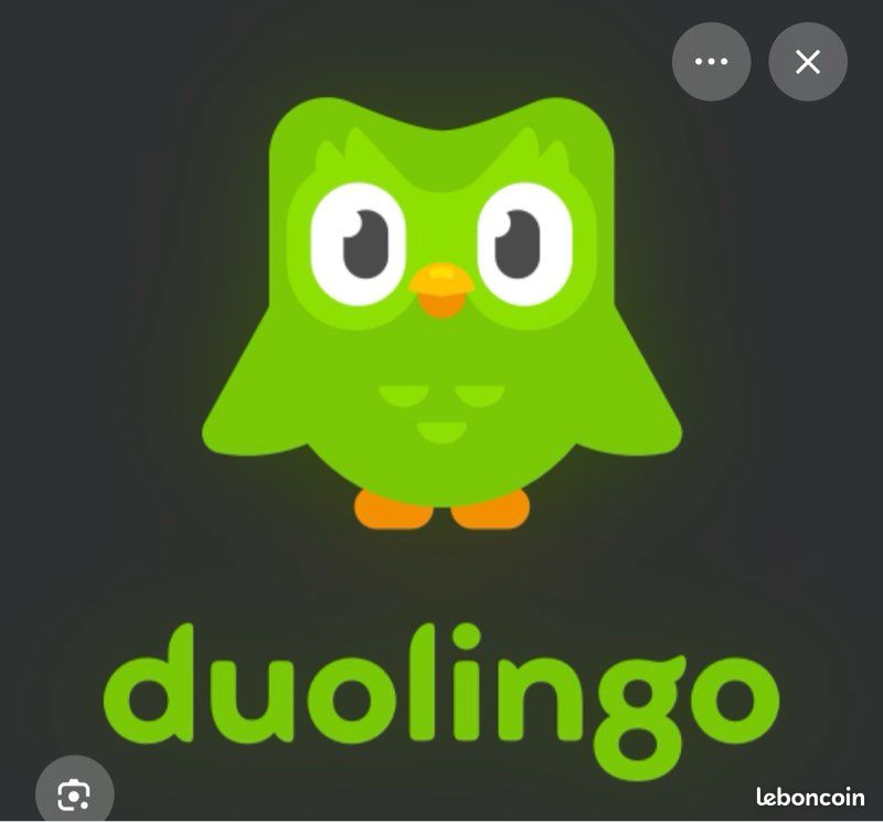Compte duolingo max (image 1)
