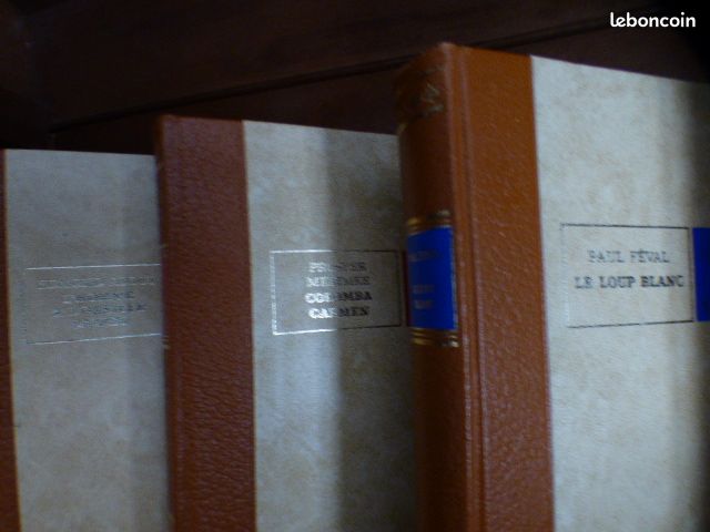 Collection 32 livres des grands écrivains (image 3)