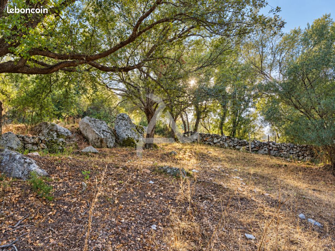Terrain 18830 m² Porto-Vecchio (image 4)