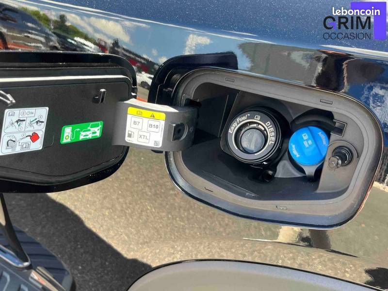 Ford Ranger SUPER CABINE 2.0 ECOBLUE 205 CH S&S BVA10 e-4WD WILDTRAK (image 20)