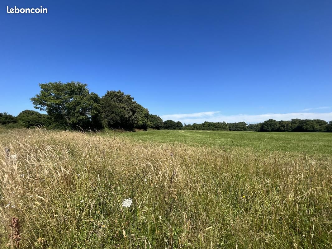 Terrain 595 m² Cholet · 58 310 €