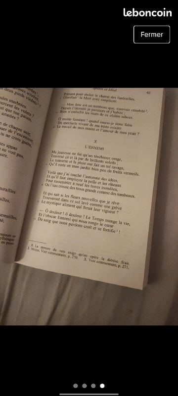 Les fleurs du Mal (image 4)