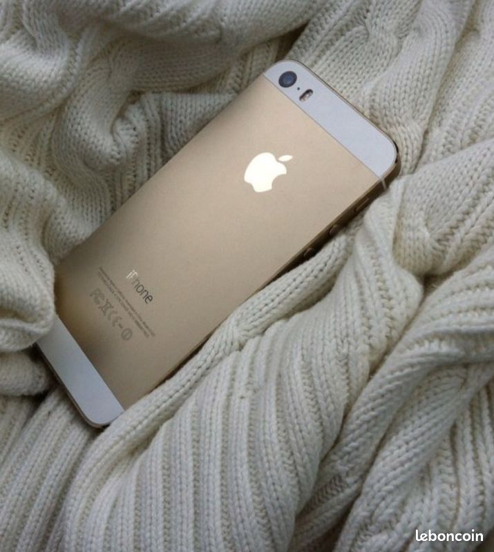 IPhone 5s avec accessoires (image 1)