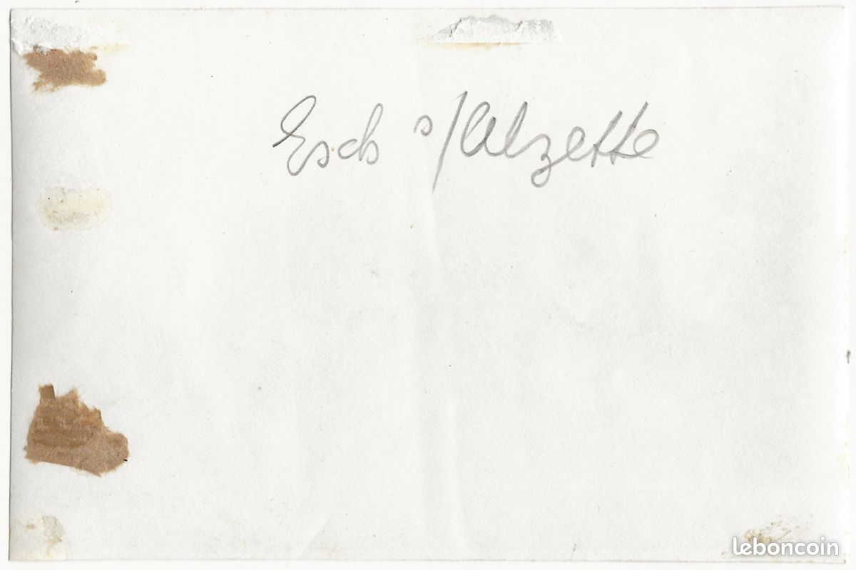 Plaque De Verre Photo Négative 9x14 Cm - Langensoultzbach (début XXème) + Carte Postale
