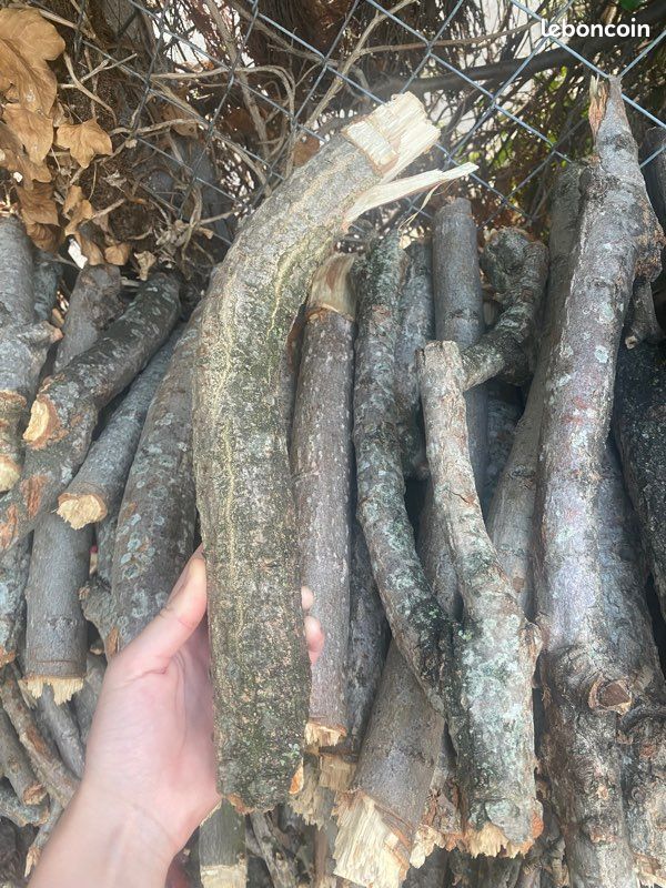 Petit bois / branches (image 2)