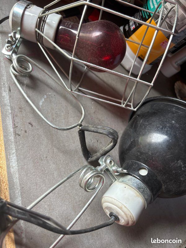 Lampe animaux (image 2)