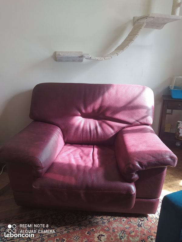 Fauteuil bordeaux 50 (image 1)