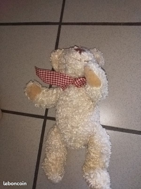 Nounours (image 1)
