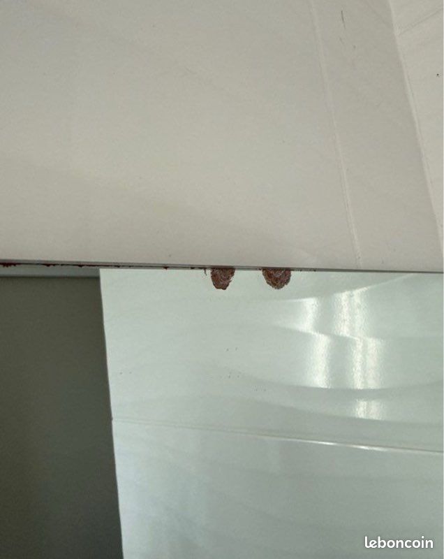 Miroir (image 4)