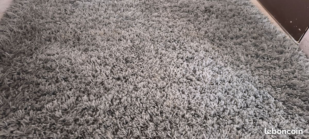 Tapis 120x170 cm Shaggy coloris gris clair (image 1)