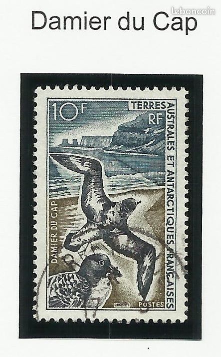 Prophila - Timbre TAAF 2001 Expédition Antarctique - N°442 - Neuf MNH - Pour Collectionneur - Qualité Supérieure