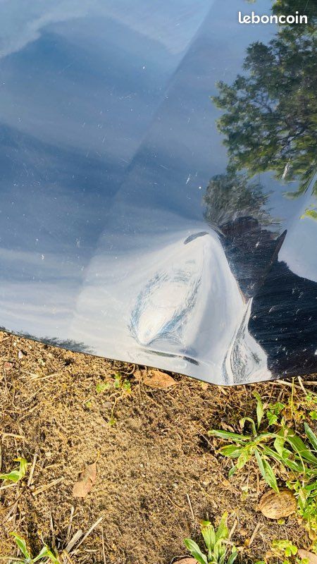 Capot moteur ford custom (image 2)