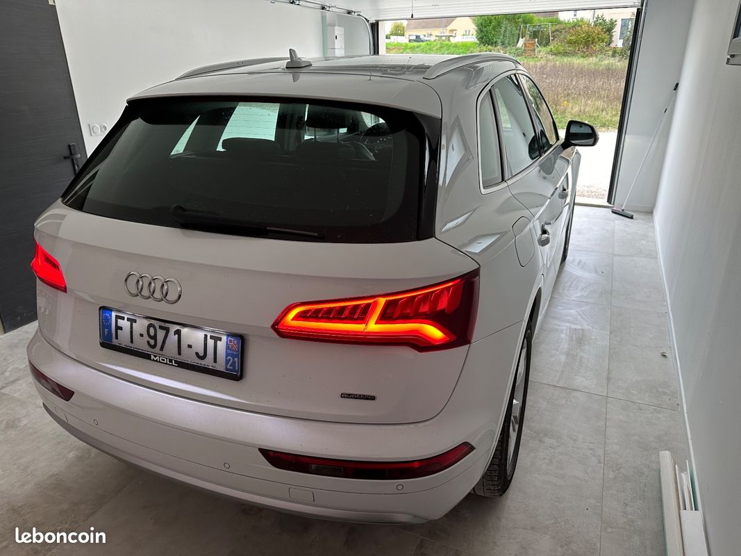 AUDI Q5 Q5 40 TDI 190 S tronic 7 Quattro Design Luxe (image 5)