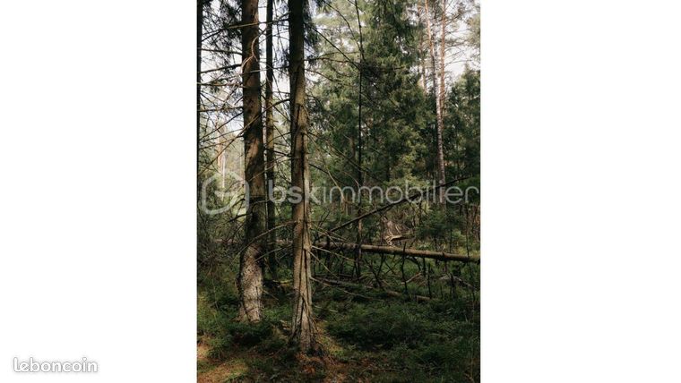 Forêt 12 865 m² Peyrignac