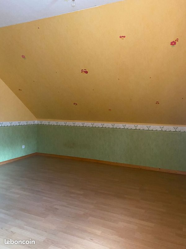 Immeuble 4 pièces 537 m² ESTISSAC (image 6)