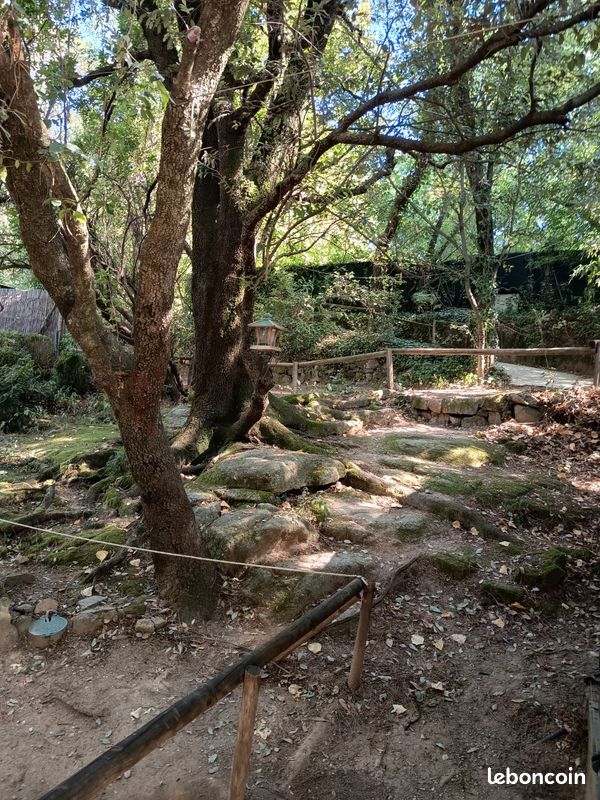 Maison 3 pièces 50 m² · à Dions · 50 m² · 700 €