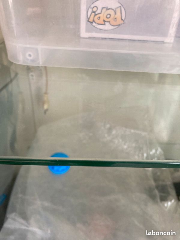 Vitrine en verre (image 5)