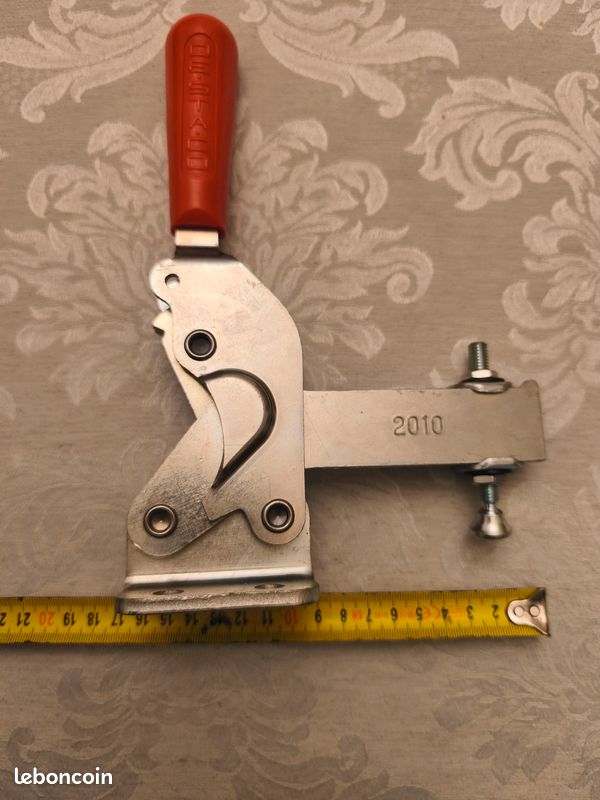 Grande sauterelle (image 1)