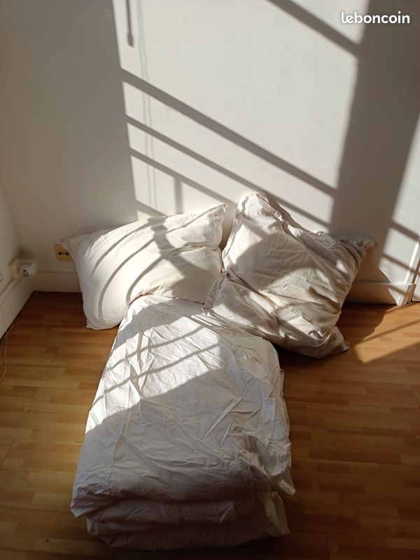Couette 160 x 200 + 2 oreillers (image 1)