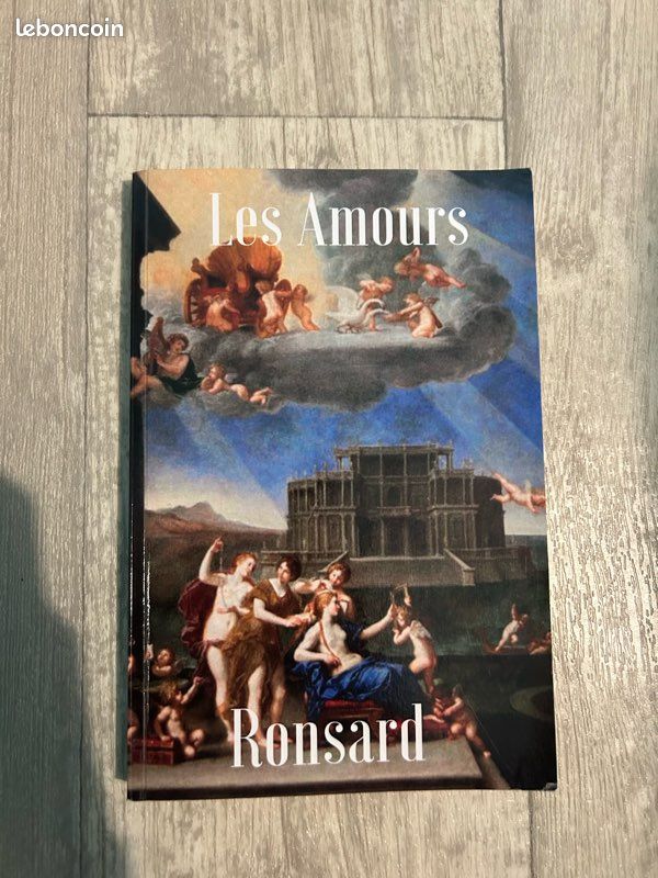 Livre Les Amours (image 1)