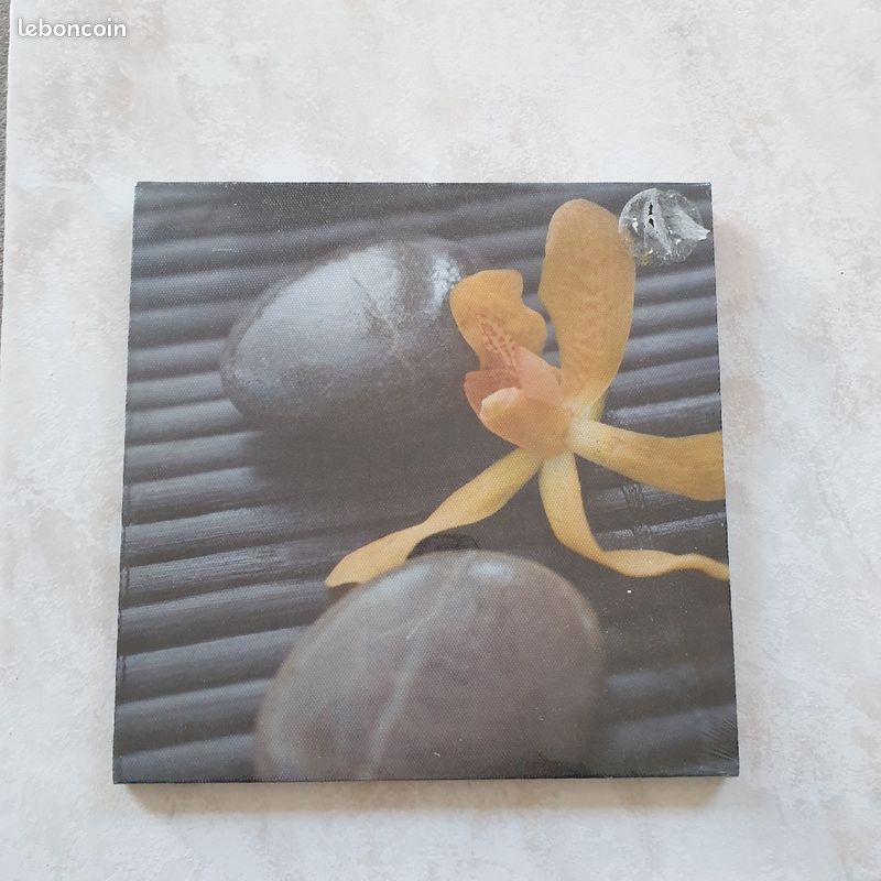 Toile imprimée sur cadre bois, photo fleur cailloux, 20x20 cm (image 1)