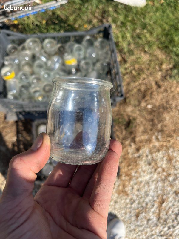 Pot de yaourts en verre (image 1)