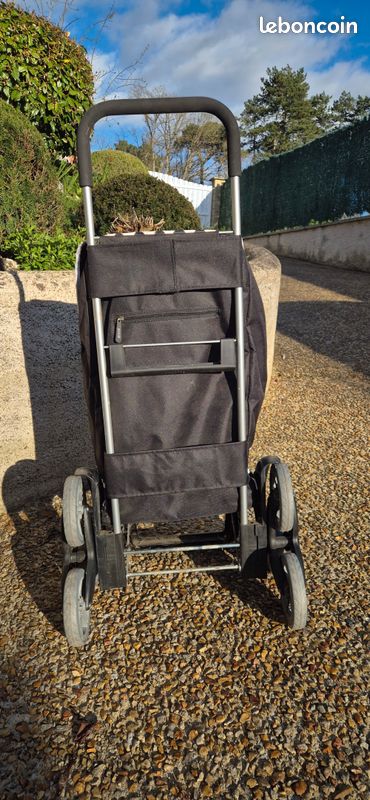 Chariot de course (image 4)